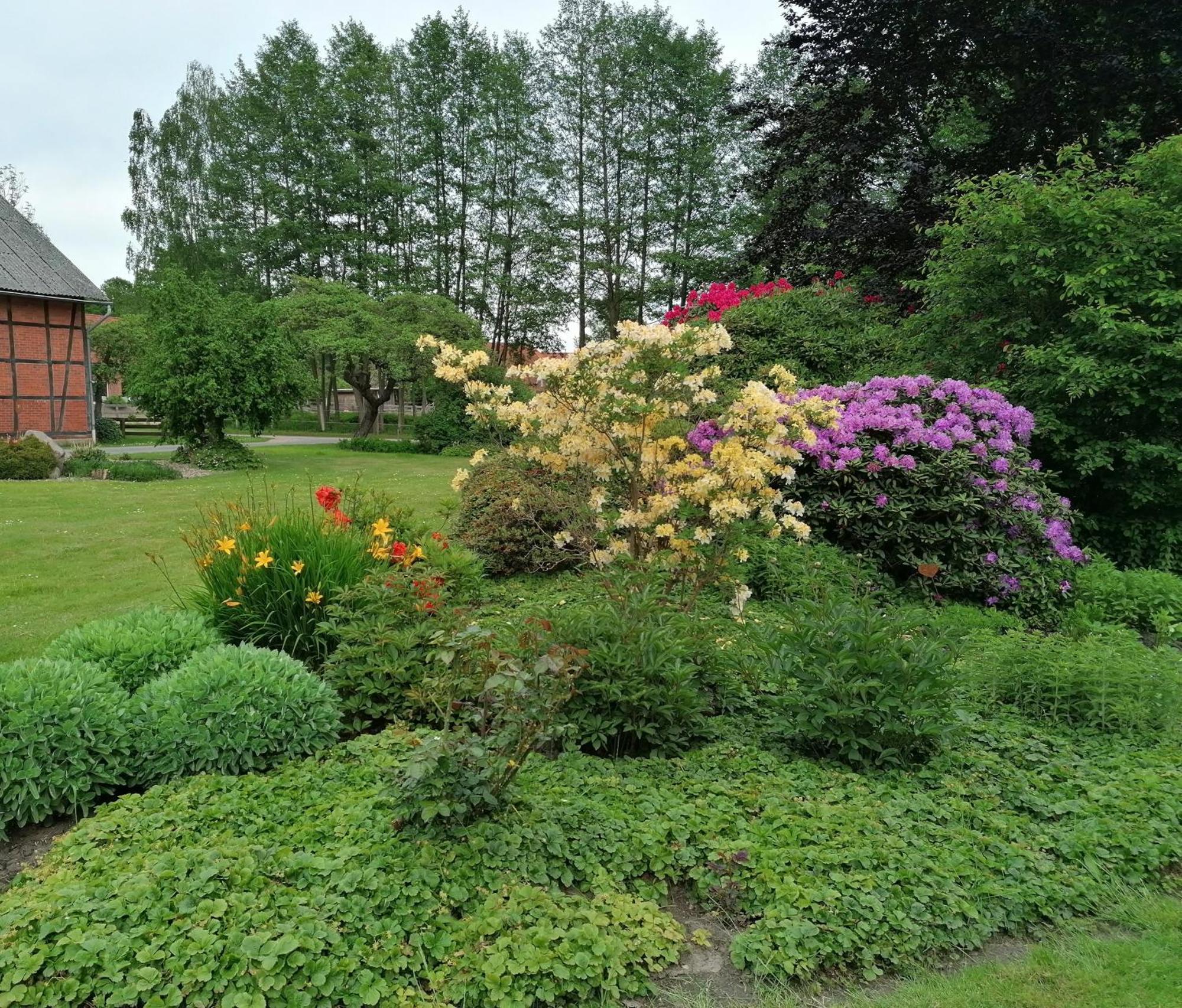 Ferienwohnung Am Teich Dannenberg Esterno foto